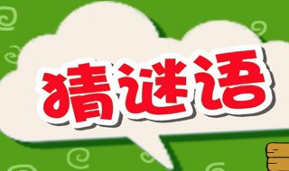 锦上添花打一动物 锦上添花是什么动物