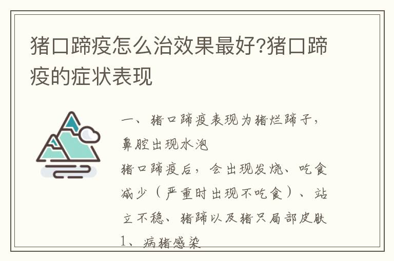 猪口蹄疫怎么治效果最好?猪口蹄疫的症状表现