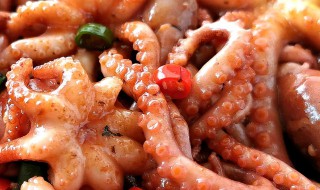 小章鱼怎么做好吃 红烧小章鱼快学起来