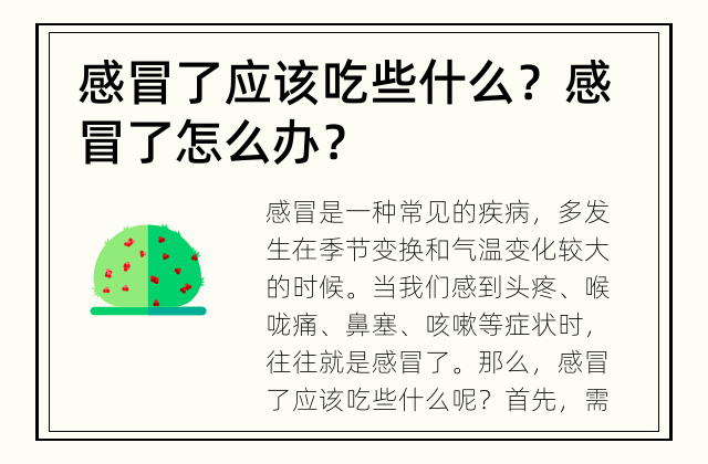 感冒了应该吃些什么？ 感冒了怎么办？