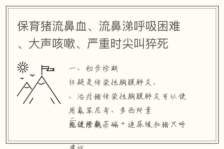 保育猪流鼻血、流鼻涕呼吸困难、大声咳嗽、严重时尖叫猝死