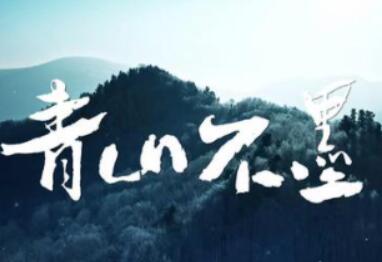 《青山不墨》是什么题材 有什么看点呢