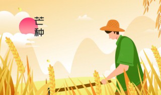 芒种节气的风俗食物 芒种节气吃什么食物