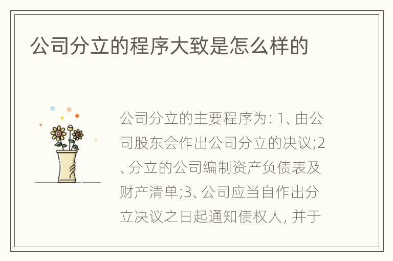 公司分立的程序大致是怎么样的
