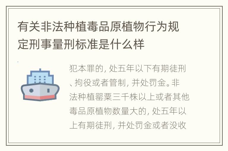 有关非法种植毒品原植物行为规定刑事量刑标准是什么样