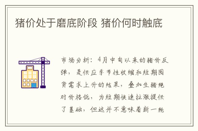 猪价处于磨底阶段 猪价何时触底