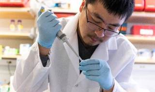 辉瑞是哪个国家的 辉瑞应该是哪个国家的