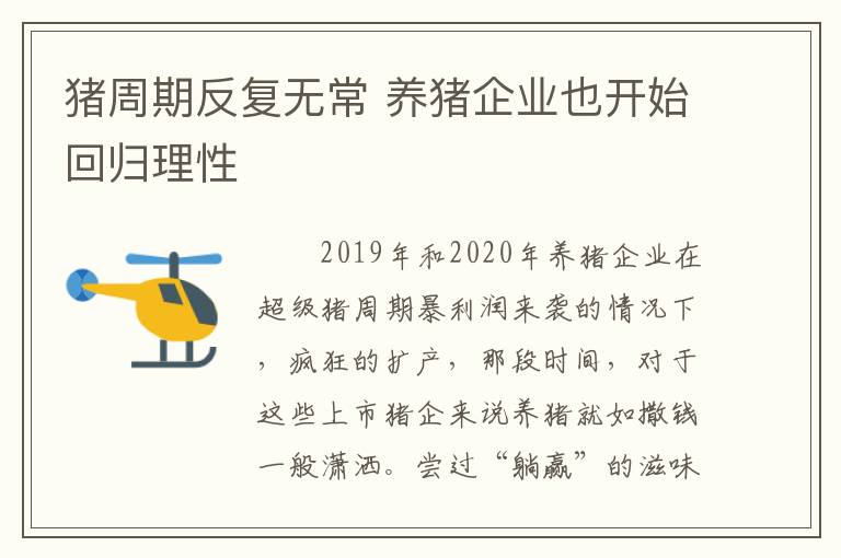 猪周期反复无常 养猪企业也开始回归理性