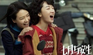 七月与安生故事简介 七月与安生介绍