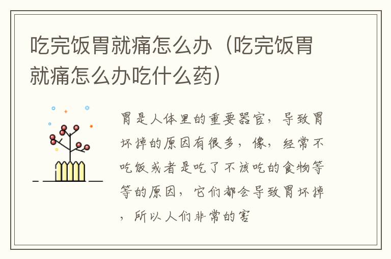 吃完饭胃就痛怎么办（吃完饭胃就痛怎么办吃什么药）