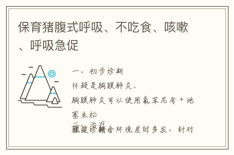 保育猪腹式呼吸、不吃食、咳嗽、呼吸急促