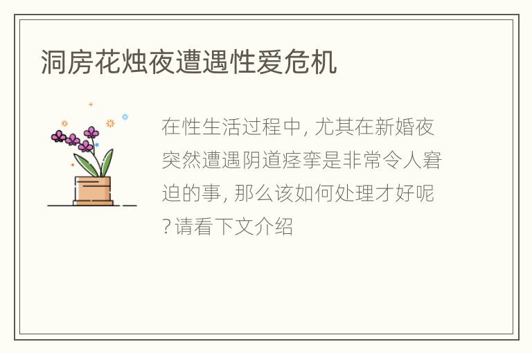 洞房花烛夜遭遇性爱危机