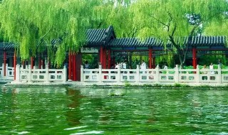 两面荷花三面柳的下一句是什么 两面荷花三面柳出自何处