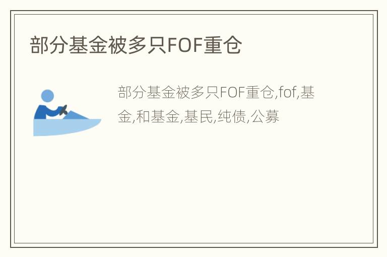部分基金被多只FOF重仓