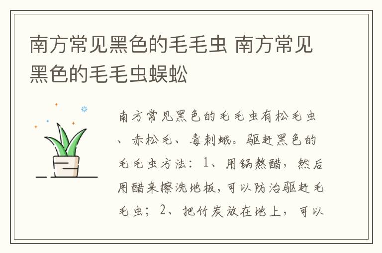 南方常见黑色的毛毛虫 南方常见黑色的毛毛虫蜈蚣