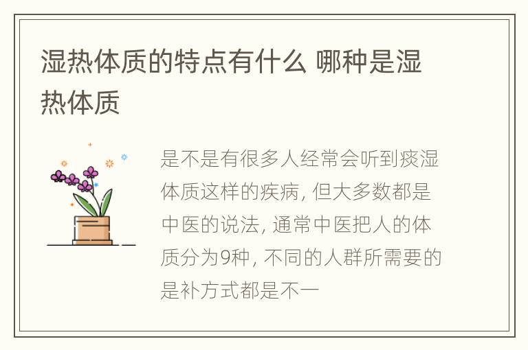 湿热体质的特点有什么 哪种是湿热体质