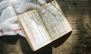 什么叫托尔斯泰主义 托尔斯泰主义的解释