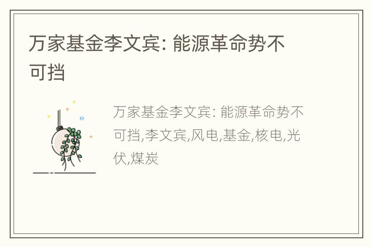 万家基金李文宾：能源革命势不可挡
