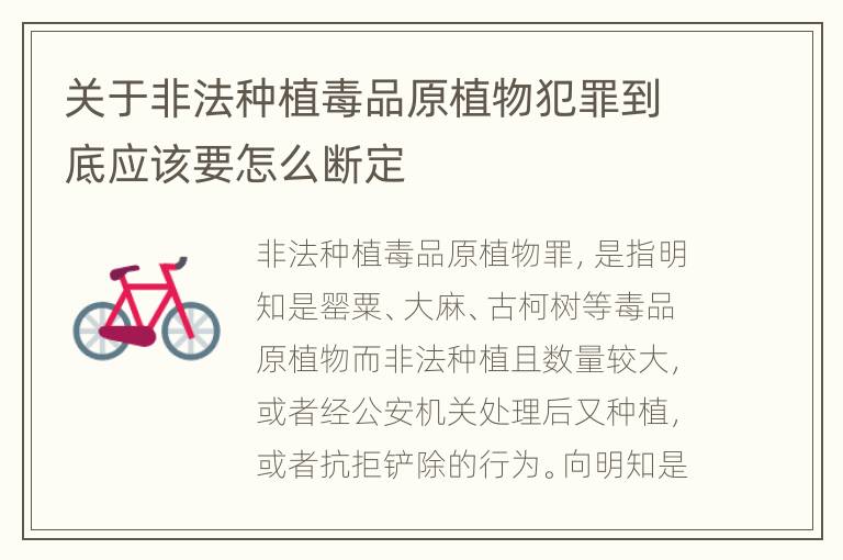 关于非法种植毒品原植物犯罪到底应该要怎么断定
