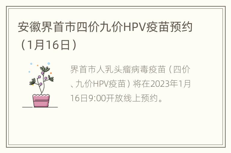 安徽界首市四价九价HPV疫苗预约（1月16日）