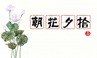 鲁迅先生的朝花夕拾的好词好句 鲁迅先生的朝花夕拾的好词好句摘抄