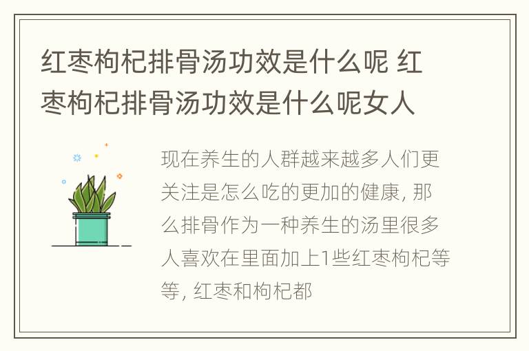 红枣枸杞排骨汤功效是什么呢 红枣枸杞排骨汤功效是什么呢女人喝