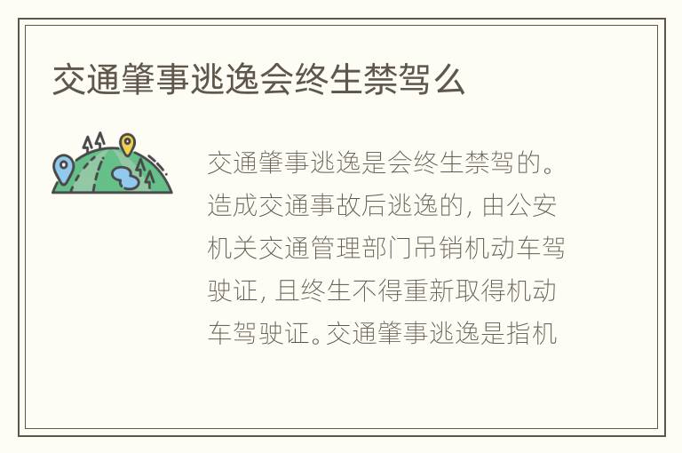 交通肇事逃逸会终生禁驾么