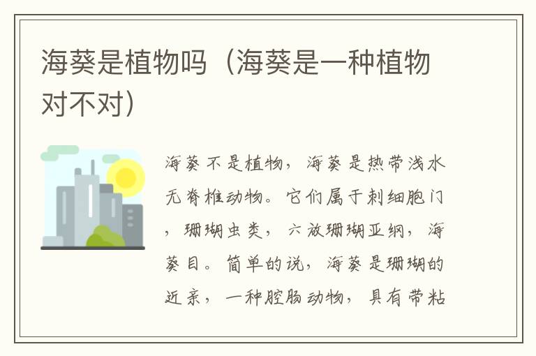 海葵是植物吗（海葵是一种植物对不对）