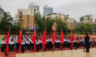 拼搏白天是什么梗 拼搏白天梗的出处介绍