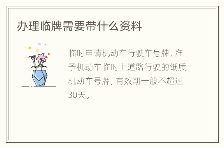 办理临牌需要带什么资料