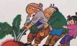 拔萝卜故事 睡前故事拔萝卜