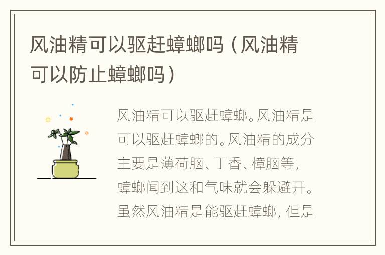 风油精可以驱赶蟑螂吗（风油精可以防止蟑螂吗）