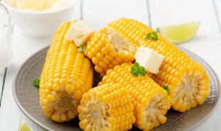 玉米粥怎么做更好喝 玉米粥的烹饪方法
