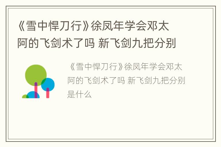 《雪中悍刀行》徐凤年学会邓太阿的飞剑术了吗 新飞剑九把分别是什么