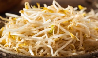 榨菜丝香干炒黄豆芽 榨菜丝香干炒黄豆芽的制作方法