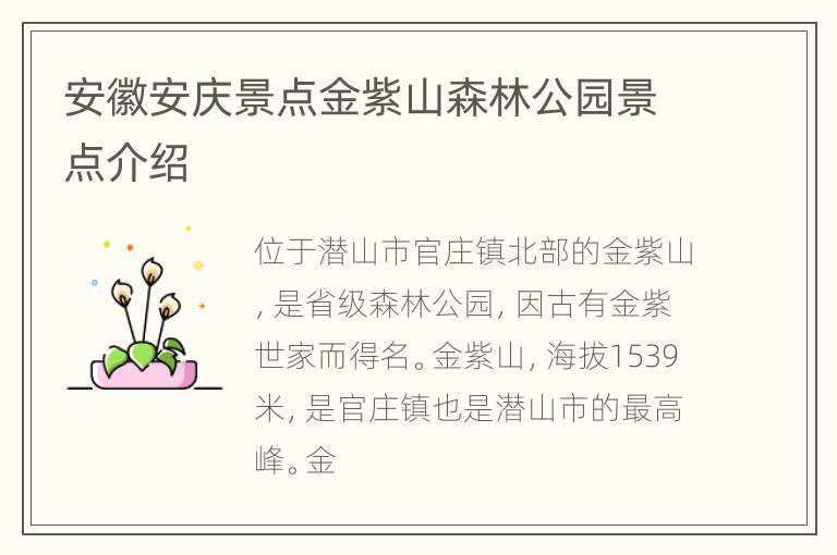 安徽安庆景点金紫山森林公园景点介绍