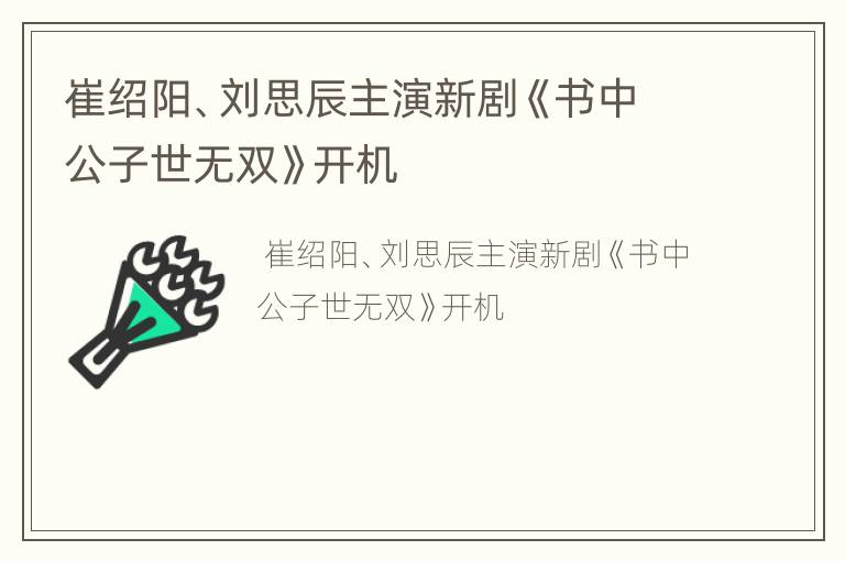 崔绍阳、刘思辰主演新剧《书中公子世无双》开机