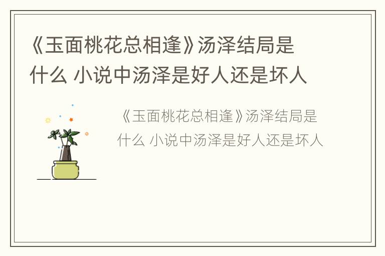《玉面桃花总相逢》汤泽结局是什么 小说中汤泽是好人还是坏人