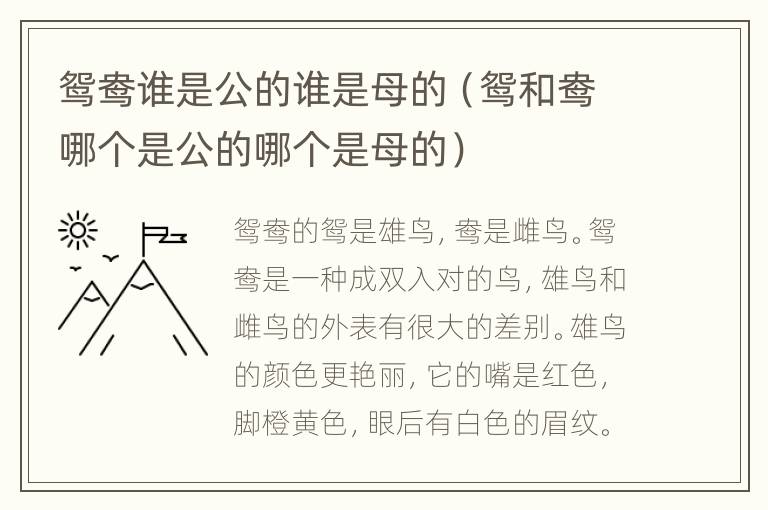 鸳鸯谁是公的谁是母的（鸳和鸯哪个是公的哪个是母的）