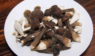 鸡枞菌怎么保鲜邮寄 如何保存鸡枞菌