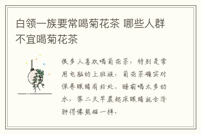白领一族要常喝菊花茶 哪些人群不宜喝菊花茶