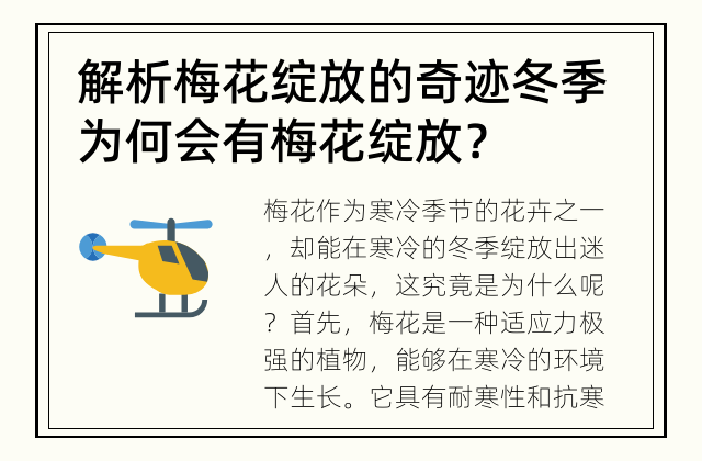 解析梅花绽放的奇迹 冬季为何会有梅花绽放？
