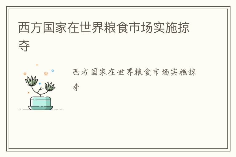 西方国家在世界粮食市场实施掠夺