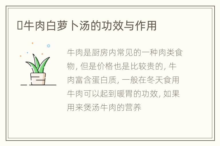 ​牛肉白萝卜汤的功效与作用