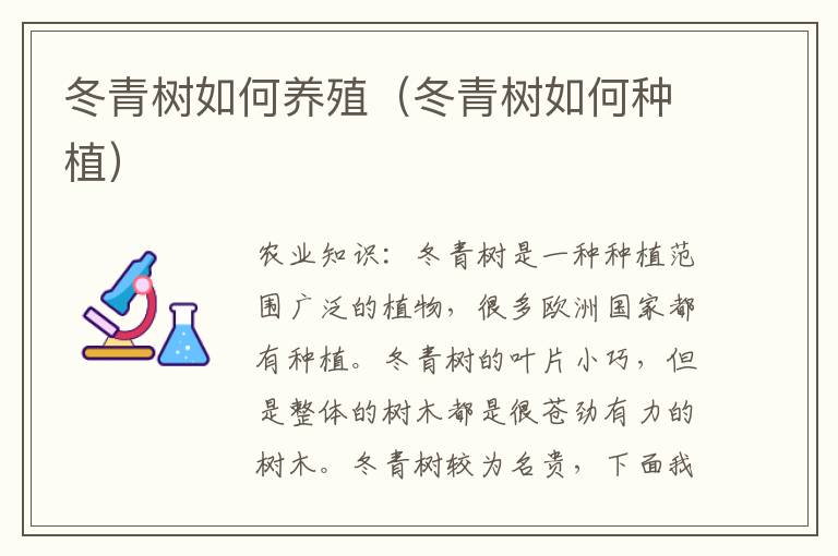 冬青树如何养殖（冬青树如何种植）