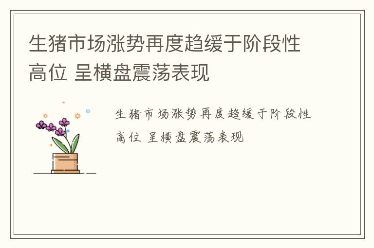 生猪市场涨势再度趋缓于阶段性高位 呈横盘震荡表现