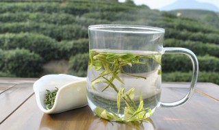 新鲜白茶如何保存方法 新鲜白茶保存方法介绍