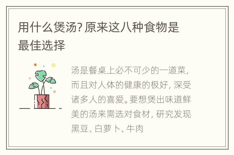 用什么煲汤？原来这八种食物是最佳选择