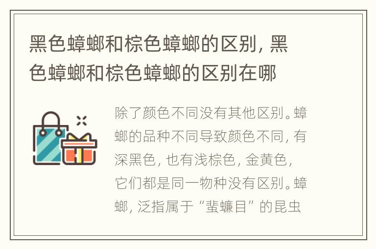 黑色蟑螂和棕色蟑螂的区别，黑色蟑螂和棕色蟑螂的区别在哪