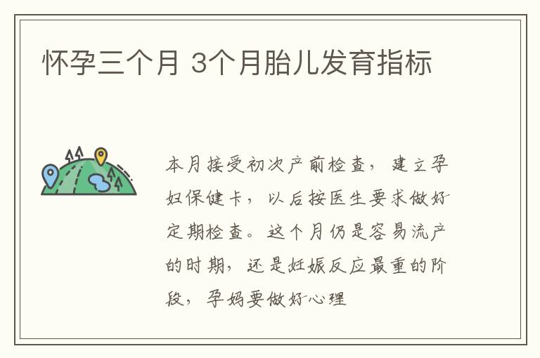 怀孕三个月 3个月胎儿发育指标